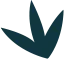 了解我们的最新动态 - 雷竞技