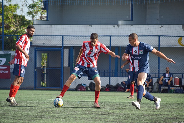 好未来的期 好未来的期