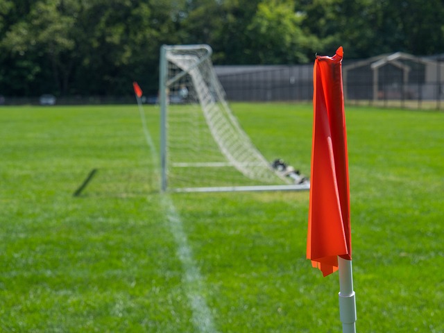 迎来了国乒 迎来了国乒