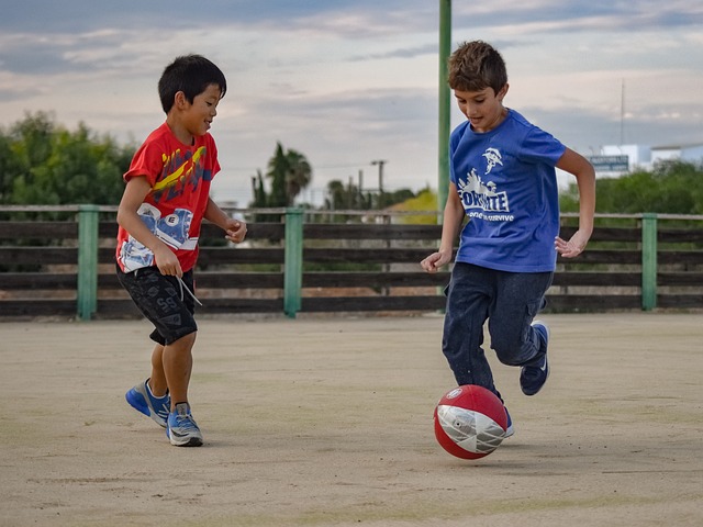 球迷们可以 球迷们可以