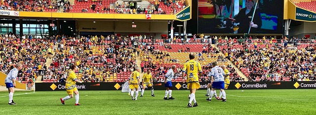 专家纷纷发 专家纷纷发